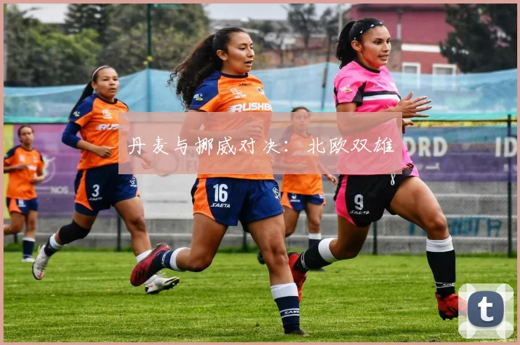 丹麦与挪威对决：北欧双雄