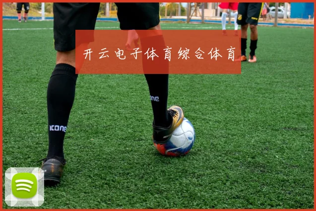 开云电子体育综合体育