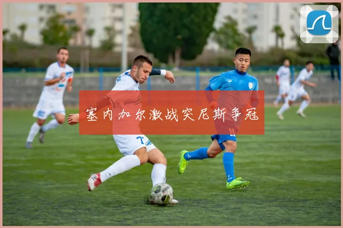 塞内加尔激战突尼斯争冠