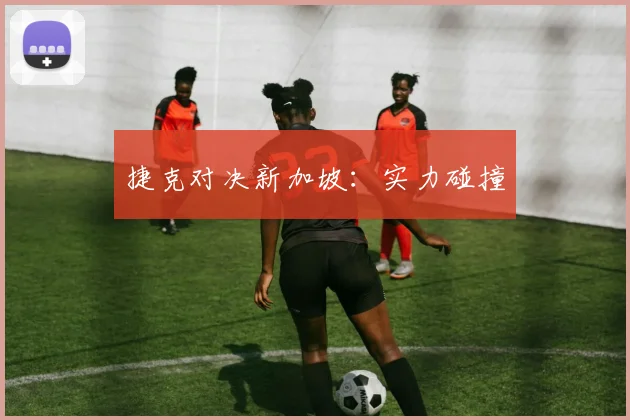 捷克对决新加坡:实力碰撞