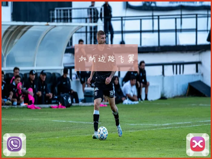 加纳边路飞翼