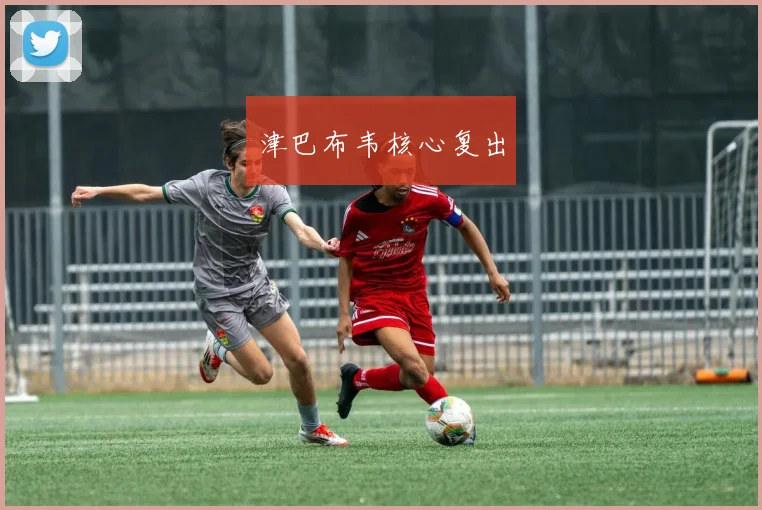 津巴布韦核心复出