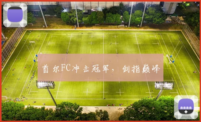 首尔FC冲击冠军，剑指巅峰