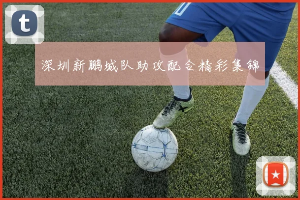 深圳新鹏城队助攻配合精彩集锦