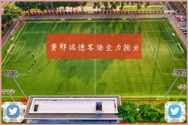 费耶诺德客场全力抢分