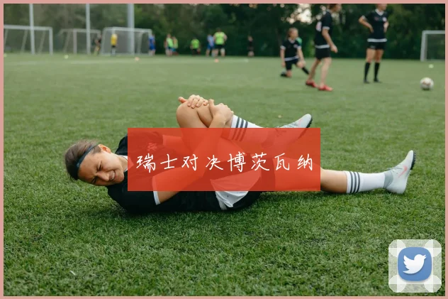 瑞士对决博茨瓦纳