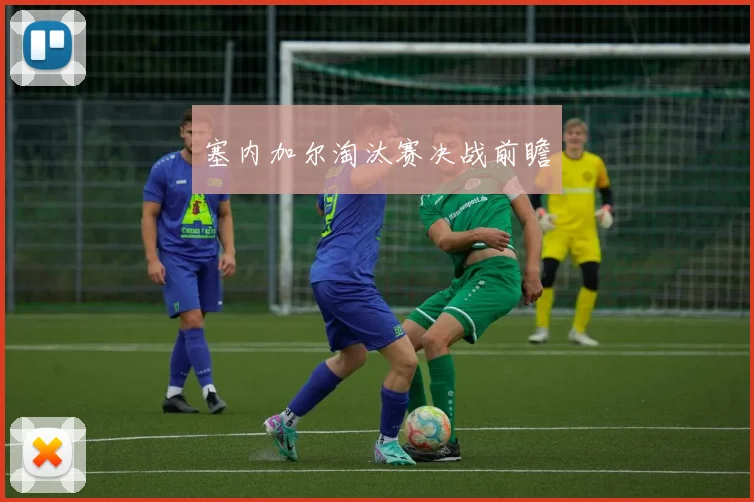 塞内加尔淘汰赛决战前瞻