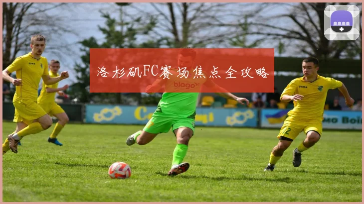 洛杉矶FC赛场焦点全攻略