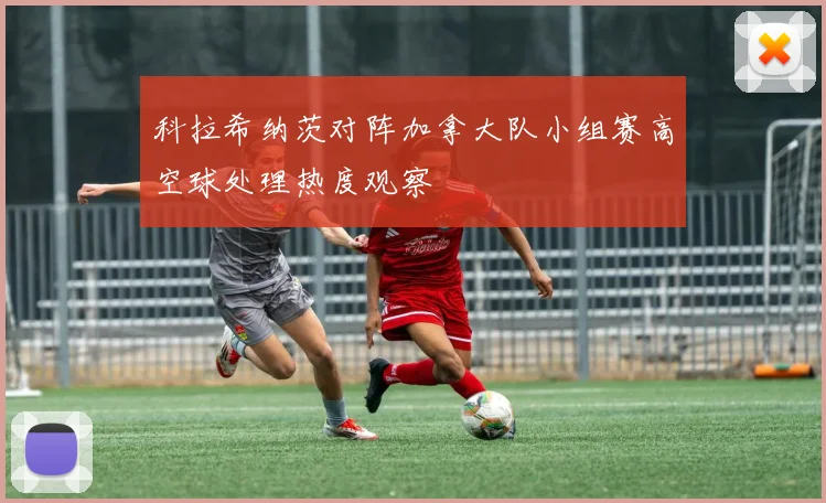 科拉希纳茨对阵加拿大队小组赛高空球处理热度观察
