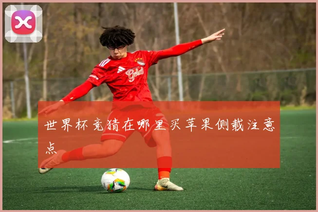 世界杯竞猜在哪里买苹果侧载注意点