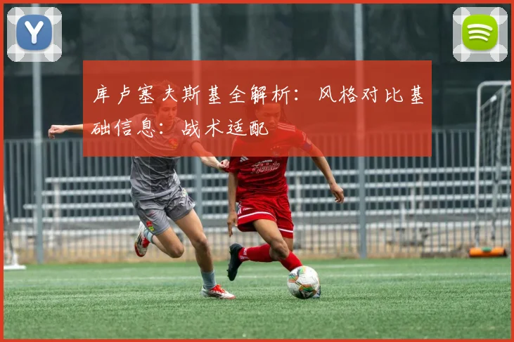 库卢塞夫斯基全解析：风格对比基础信息：战术适配