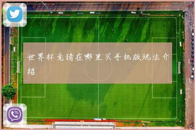 世界杯竞猜在哪里买手机版玩法介绍