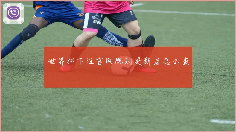 世界杯下注官网规则更新后怎么查