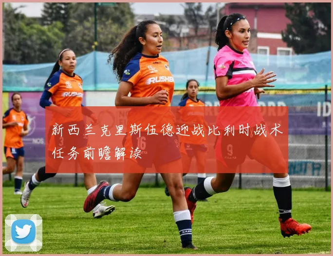 新西兰克里斯伍德迎战比利时战术任务前瞻解读