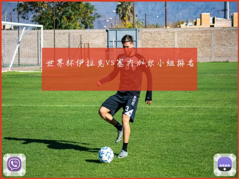 世界杯伊拉克vs塞内加尔小组排名