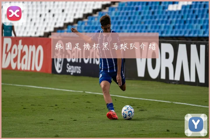 韩国足协杯黑马球队介绍